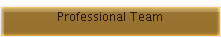 Professional Team